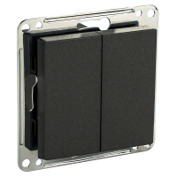 Сценарный выключатель 2-кл, модуль 55х55, Bus77, Графит