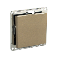 Сценарный выключатель 1-кл, модуль 55х55, Bus77, Шампань