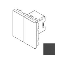 Сценарный выключатель, Amsterdam 02, 2-кл., модуль 71х71, dc, Графит