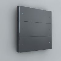 Сценарный выключатель 3-кл Berlin 00, dc, Графит