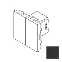 Сценарный выключатель, Amsterdam 02, 2-кл., модуль 71х71, dc, Черный