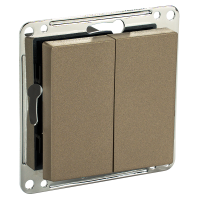 Сценарный выключатель 2-кл, модуль 55х55, Bus77, Шампань