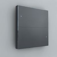 Сценарный выключатель 2-кл Berlin 00, dc, Графит