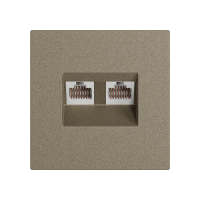 Модуль RJ 45 двойной, Amsterdam 02, Шампань